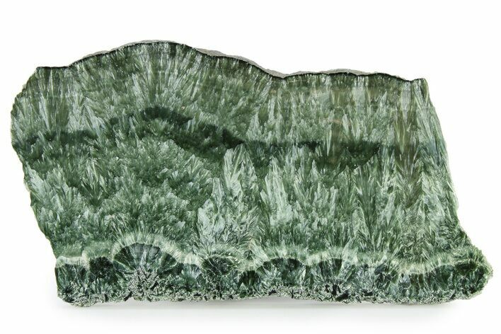 Polished Seraphinite Slab - Korshunovkiy Mine, Siberia #336477